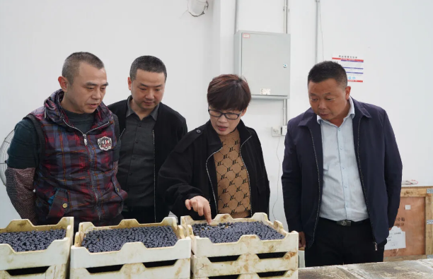截图录屏_选择区域_20240411100446.png